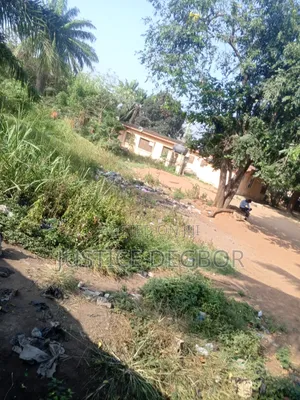 8plot at Lapaz