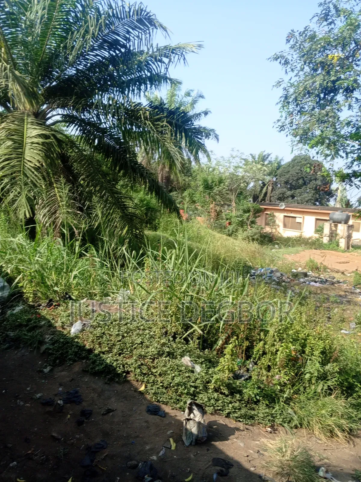 8plot at Lapaz