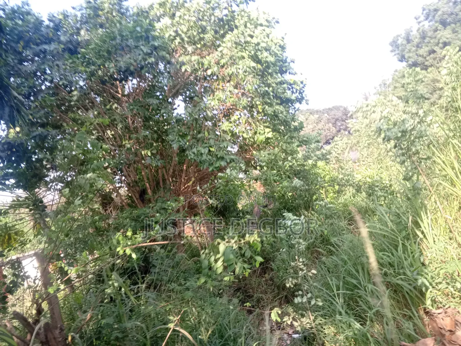 8plot at Lapaz