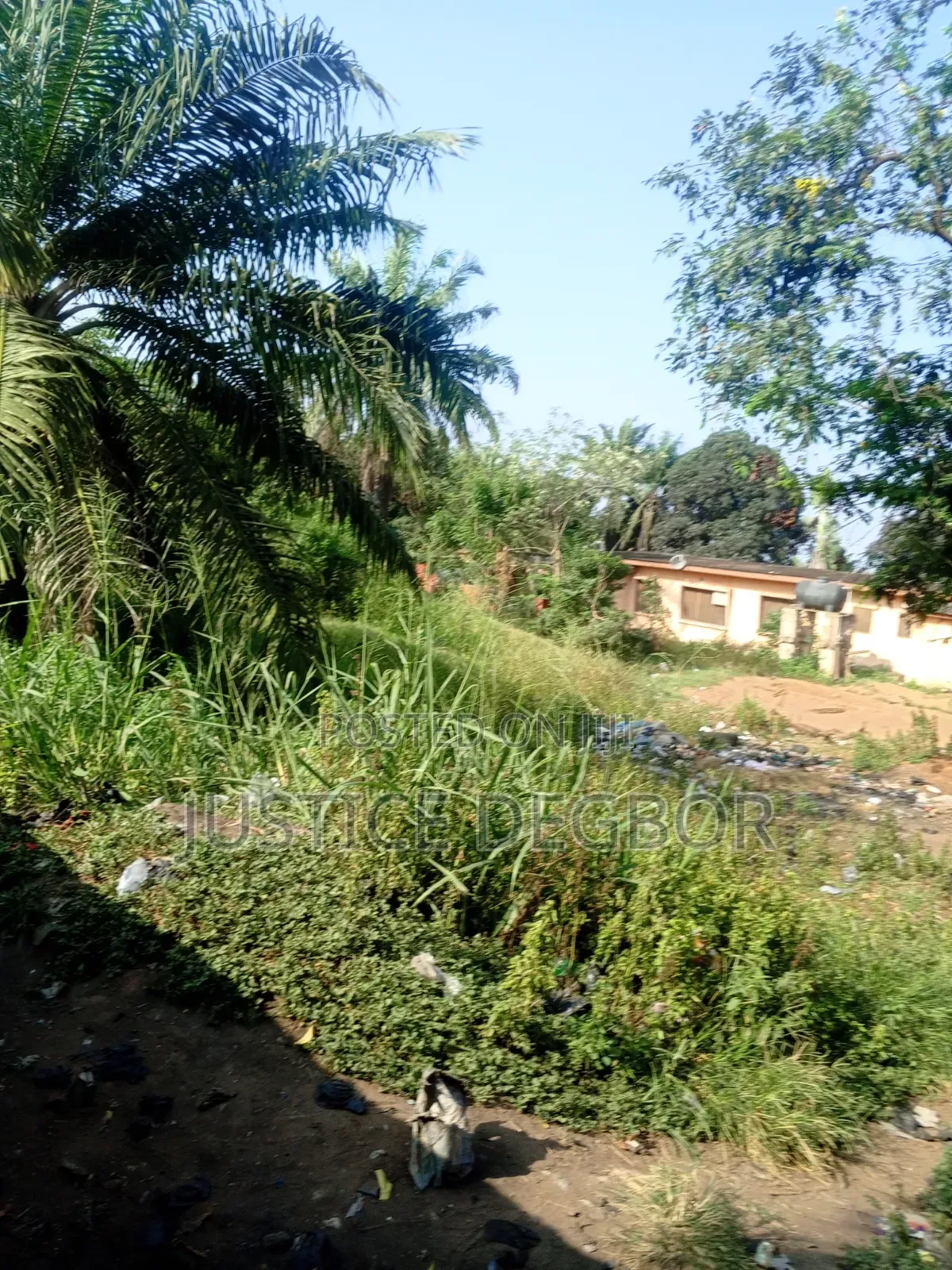 8plot at Lapaz