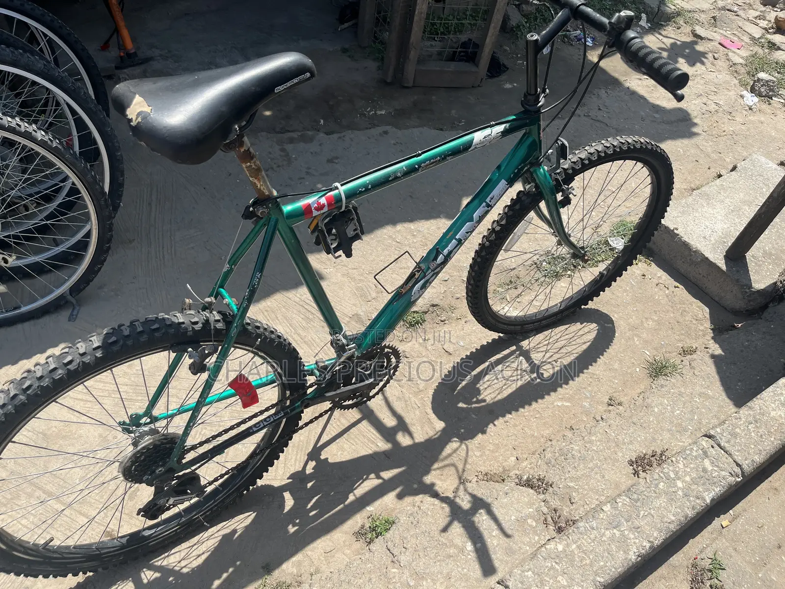 MTR 2023 Green