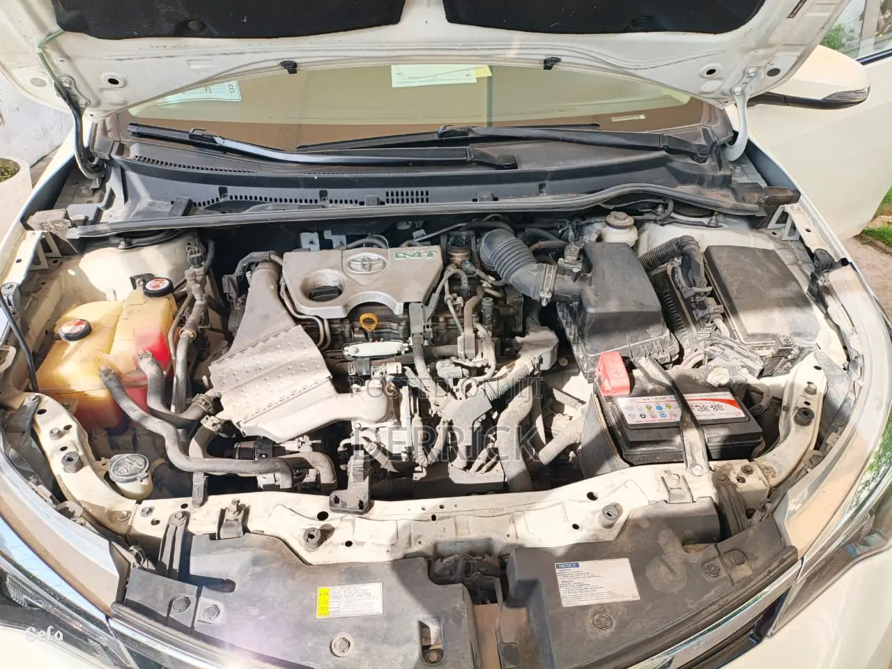 Toyota Corolla LE Eco (1.8L 4cyl 2A) 2019 White