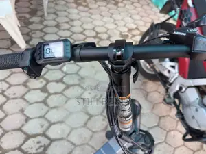 Electric Bike
