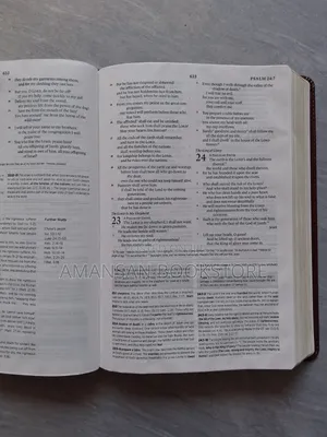 Systematic Theology Study Bible: ESV