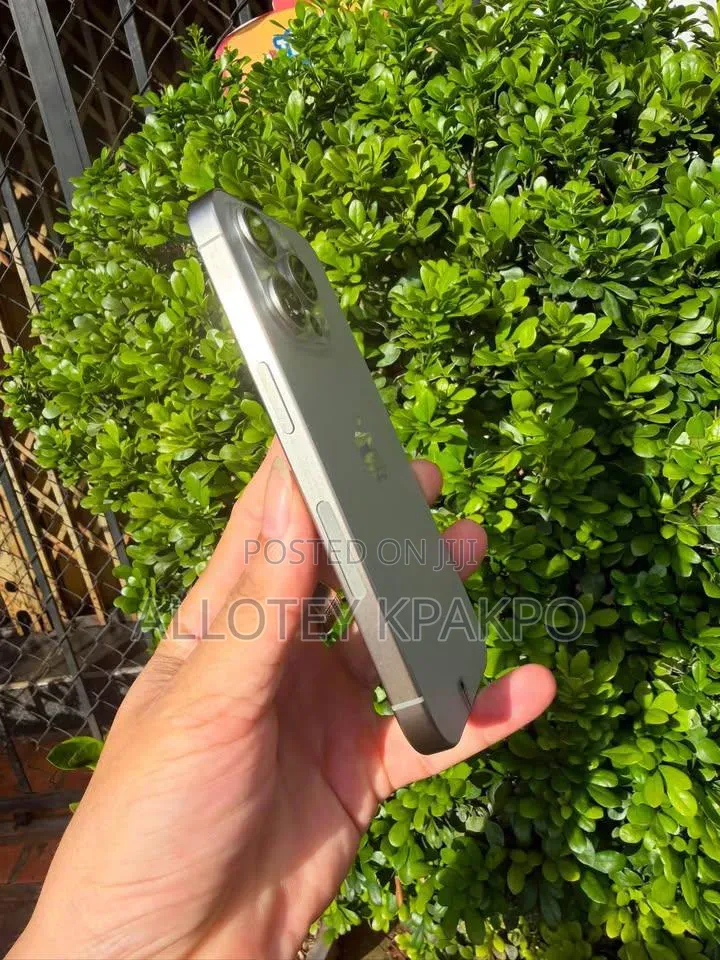 Apple iPhone 15 Pro Max 256 GB Silver