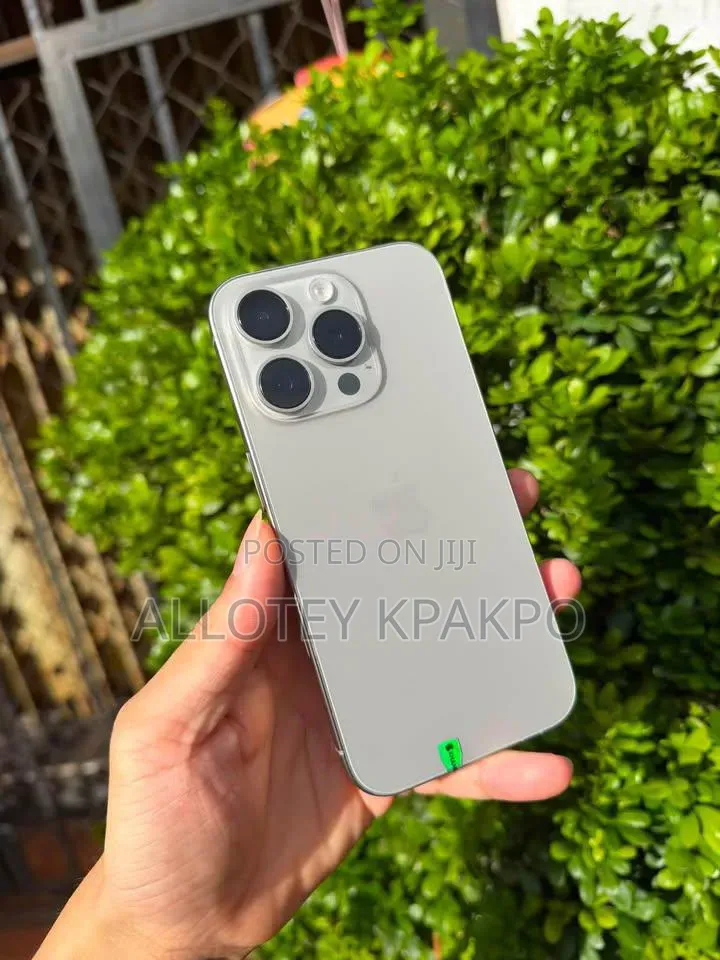 Apple iPhone 15 Pro Max 256 GB Silver