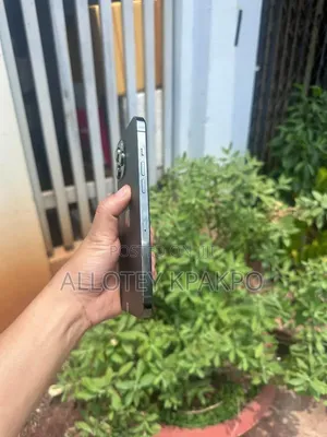 Apple iPhone 15 Pro Max 256 GB Silver