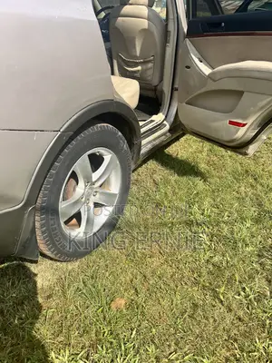 Hyundai Santa Fe 2010 Gold