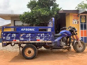 Tricycle 2024 Blue