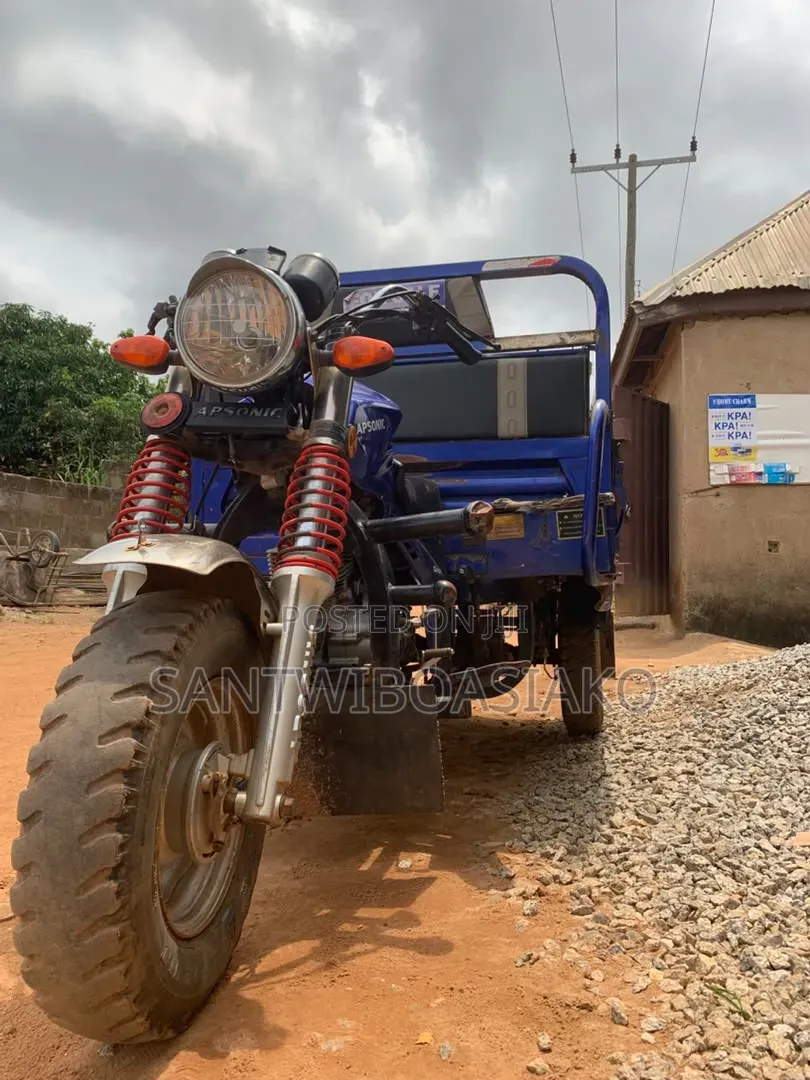 Tricycle 2024 Blue