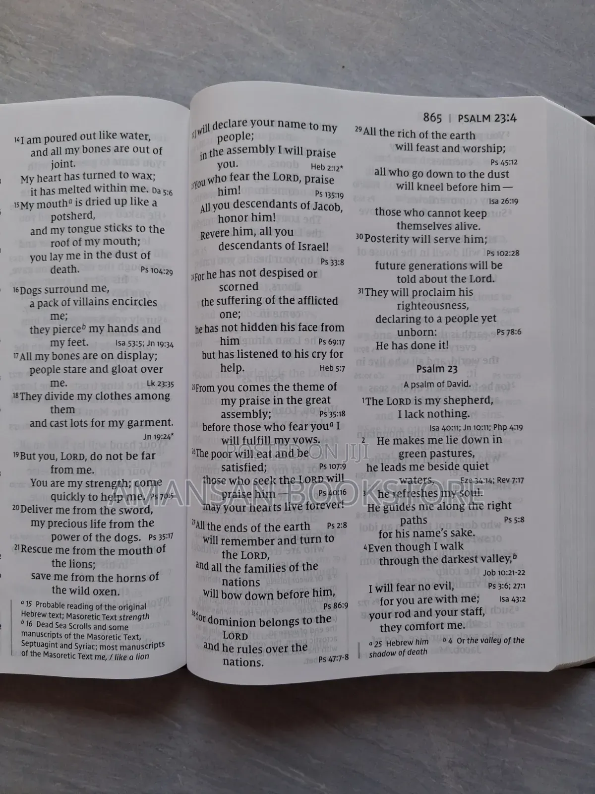 NIV Super Giant Print Reference Bible