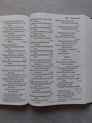 NIV Super Giant Print Reference Bible
