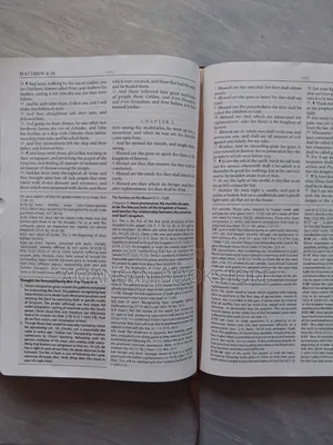 KJV Study Bible With Index Tabs