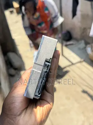 10TB Western Digital HDD