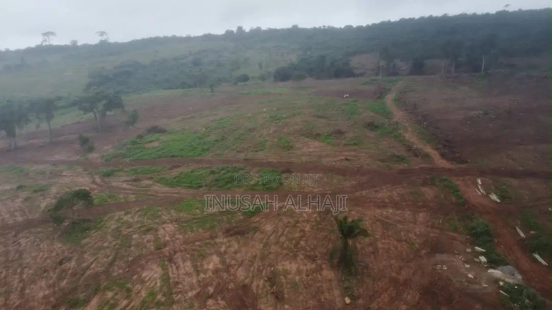 Plot of Land 70x100 at Dodowa