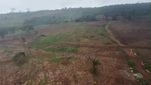 Plot of Land 70x100 at Dodowa