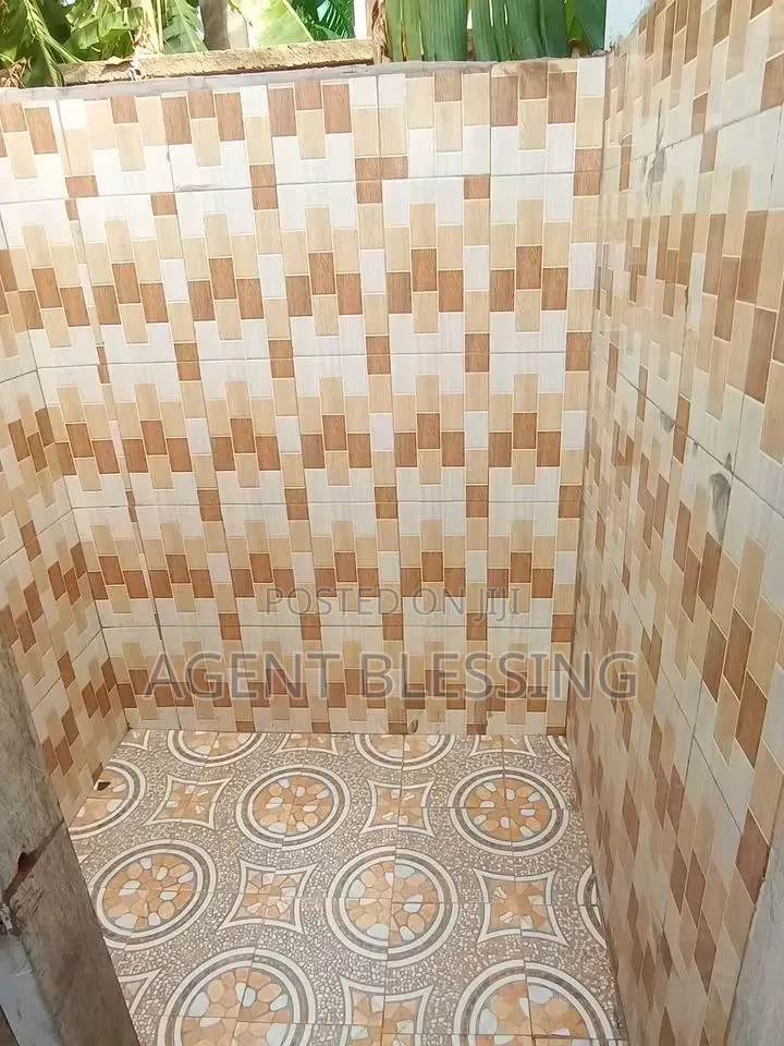 1bdrm Apartment in Ashaiman, Zenu, Lashibi for rent