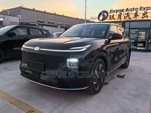 New Car 2024 Black