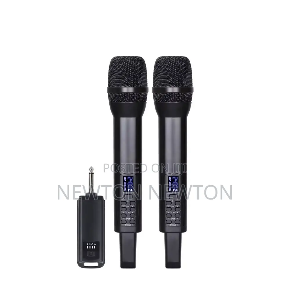 Two in One Wireless Rechargeable Microphone