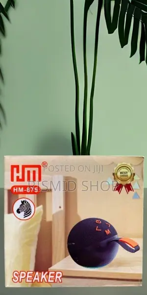 HM-875 Portable Wireless Speaker