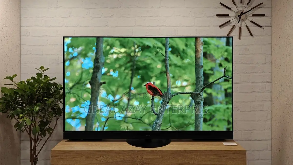 65inches Panasonic 4k