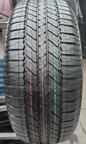 265/55r19 Bridgestone Dueler a/T D693 109v Tyre