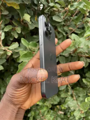 Apple iPhone 15 Pro Max 256 GB Black