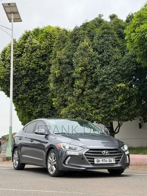 Hyundai Elantra SE Sedan FWD (2.0L 4cyl 6M) 2017 Gray