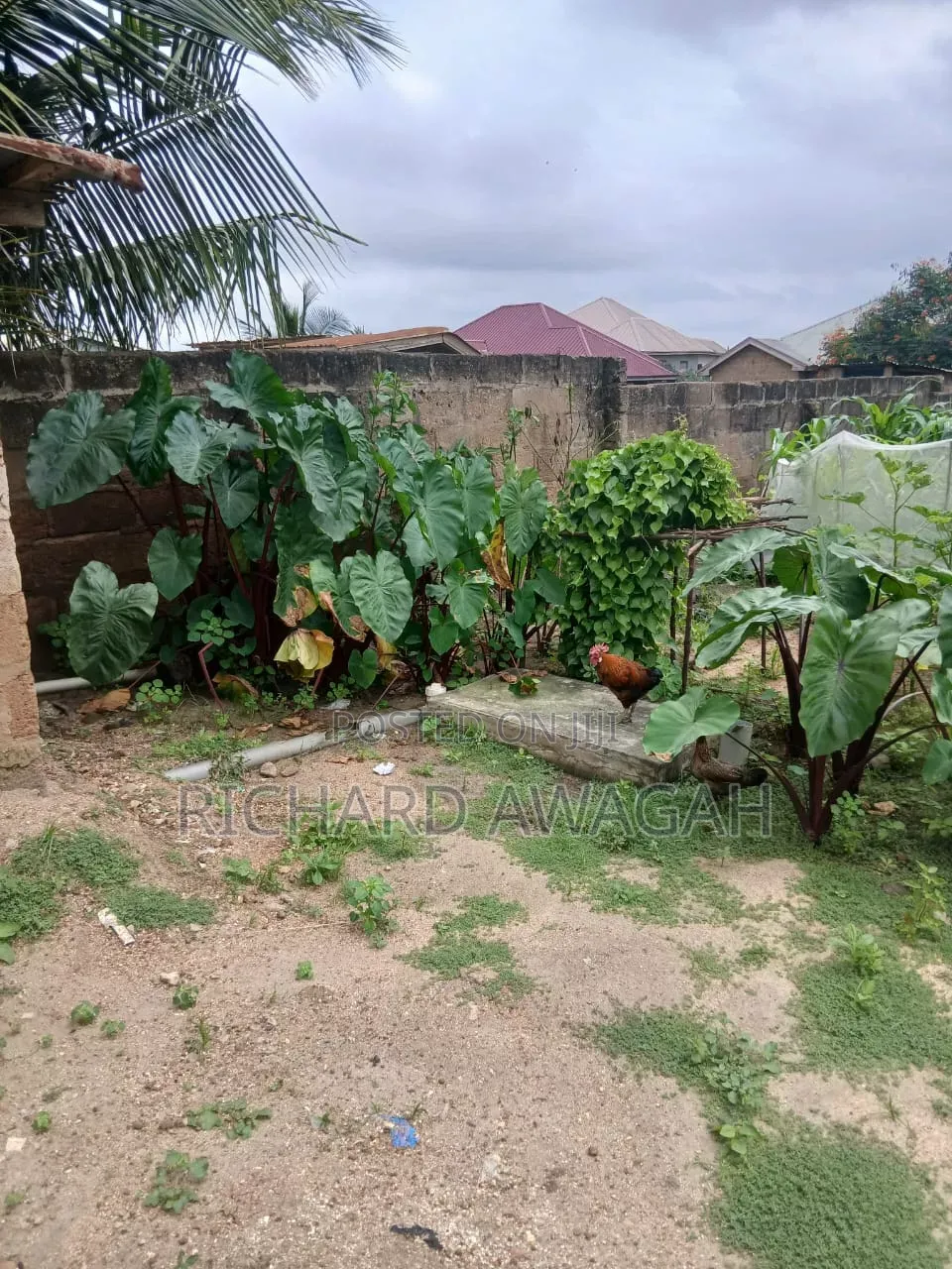 5plots of Land for Sale at Kasoa Tipa Off Liberia Camp Highway