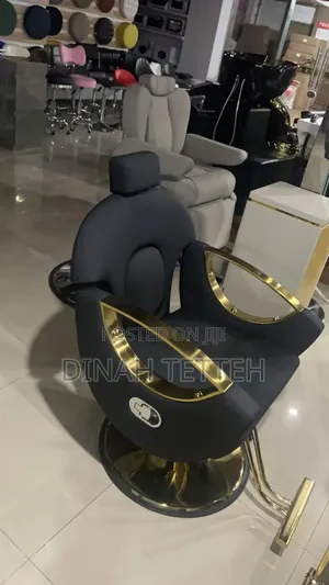 Barbering or Styling Chair