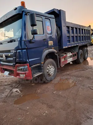 Sinotruk 2019 Blue