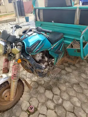 Tricycle 2024 Green