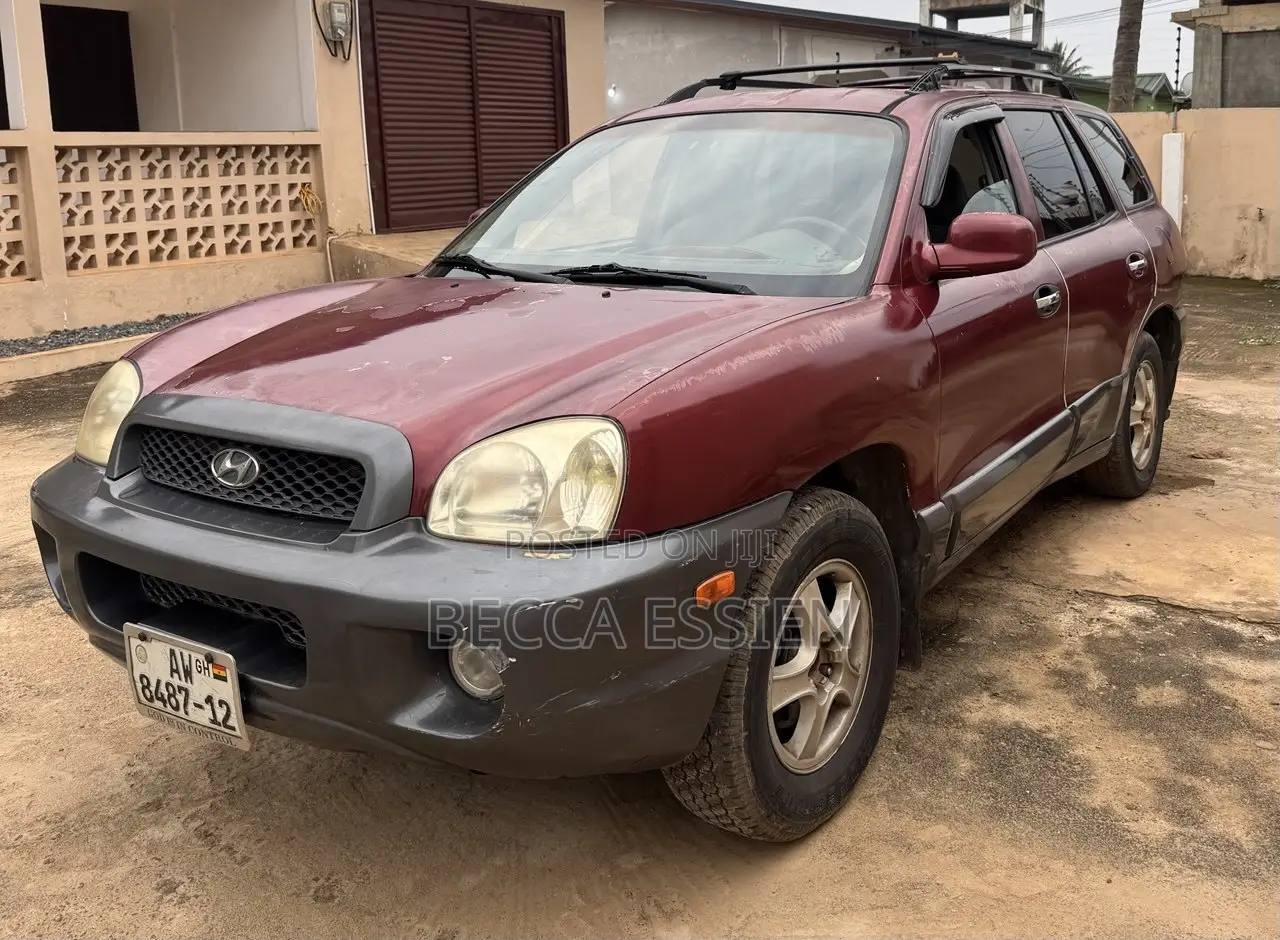 Hyundai Santa Fe 2004 Maroon