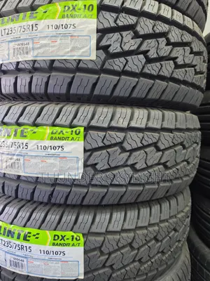 235/75r15 Delinte DX10 Bandit a/T All Terrain Tyre
