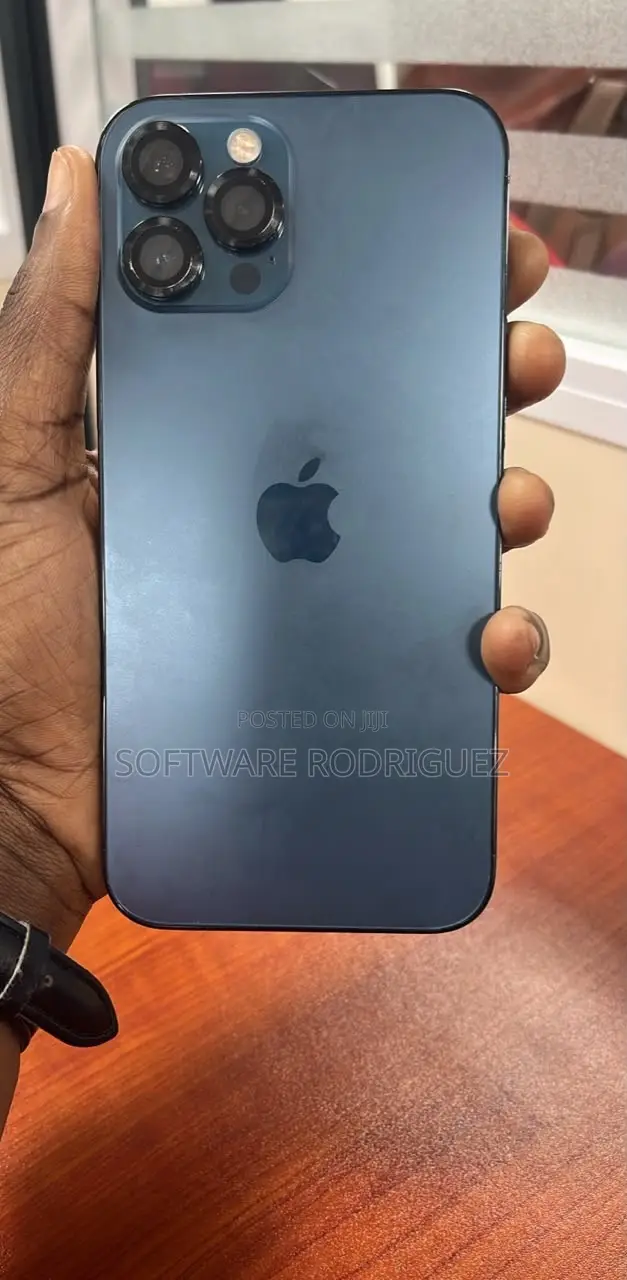 Apple iPhone 12 Pro Max 256 GB Gray