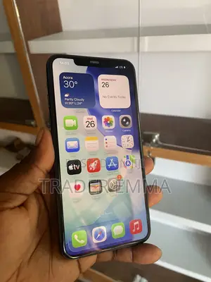 Apple iPhone 11 Pro Max 64 GB Gray