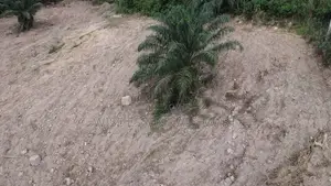 Land for Sale Aburi