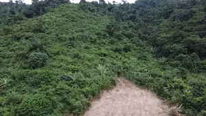 Land for Sale Aburi