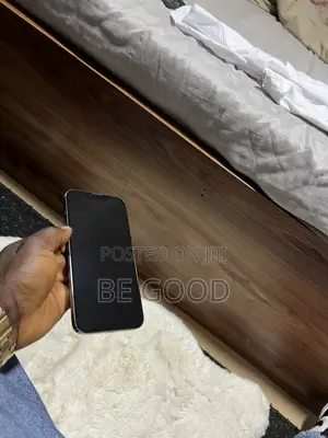Apple iPhone 13 Pro Max 256 GB Graphite