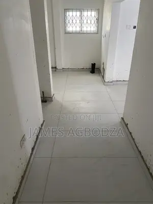 Professional Tiling Master