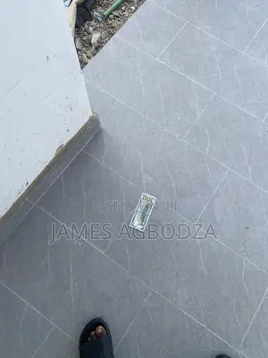 Professional Tiling Master