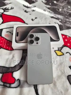 Apple iPhone 15 Pro Max 256 GB Gray