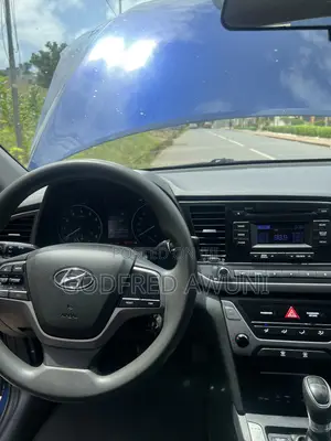 Hyundai Elantra 2017 Blue