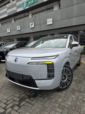 New Denza N9 2.0 Hybrid AWD 2025 Black
