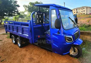 New Tricycle 2026 Blue