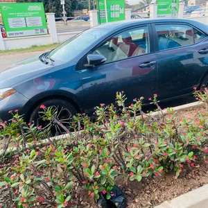 Toyota Corolla LE (1.8L 4cyl 2A) 2018 Gray