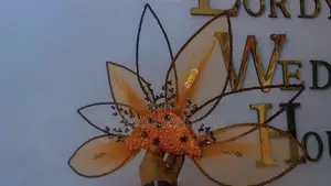 Bridal Fan