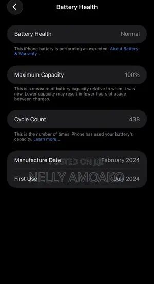 Apple iPhone 15 Pro Max 256 GB Blue