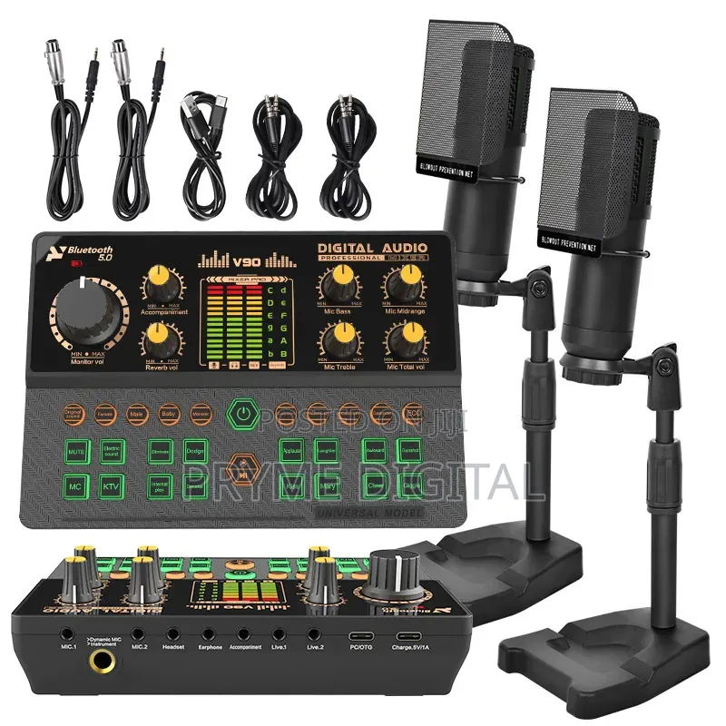 V90 Live Sound Set With 2 Mics