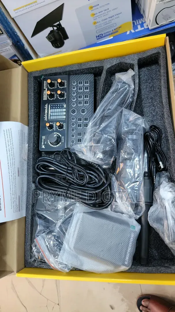 V90 Live Sound Set With 2 Mics